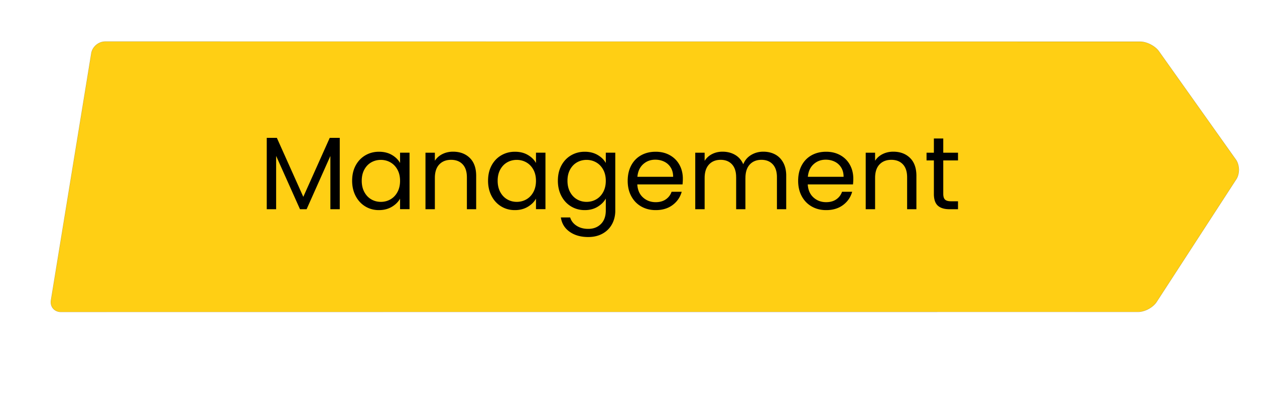 Management - Website Pictures